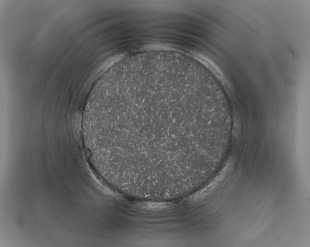 X0000112530849200909281036