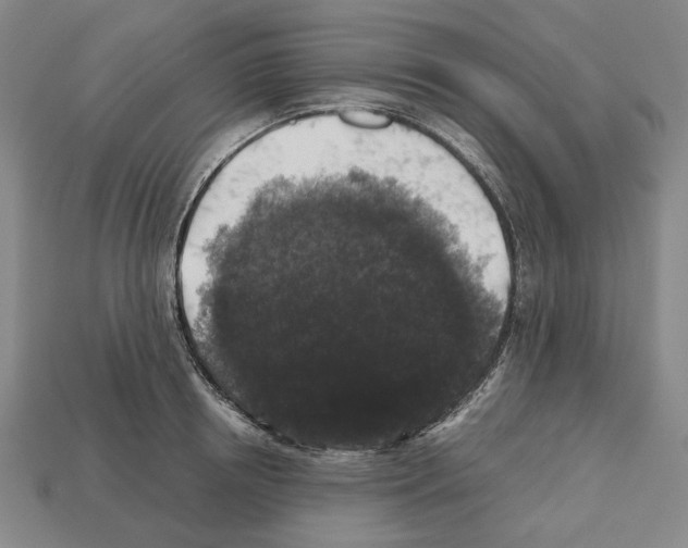 X0000112530850200909281036