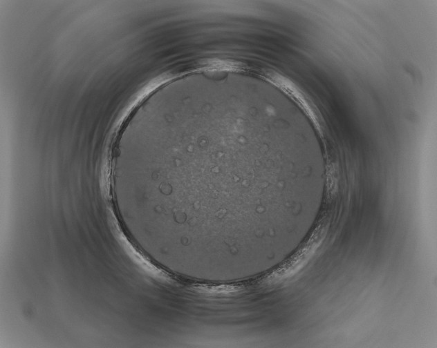 X0000112530851200909281036