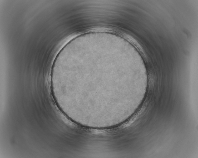 X0000112530852200909281036