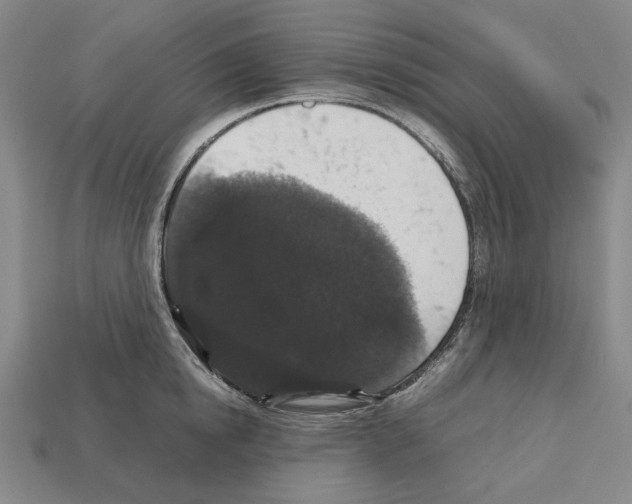 X0000112530854200909281037