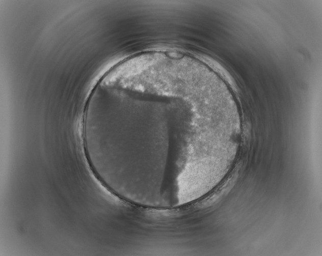 X0000112530855200909281037