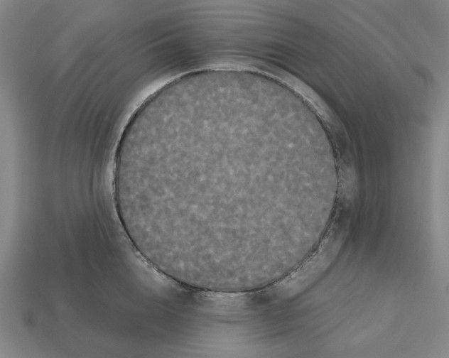 X0000112530856200909281037