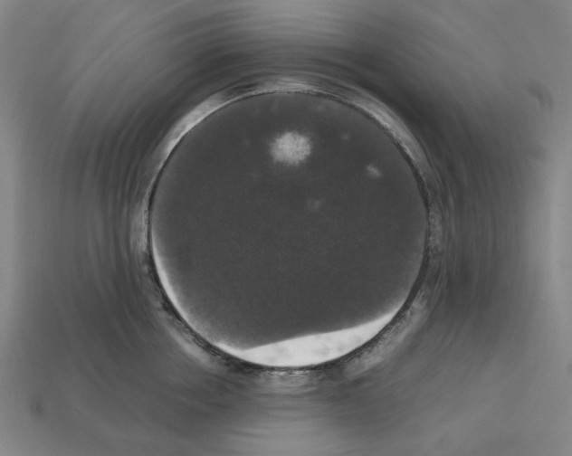 X0000112530858200909281037