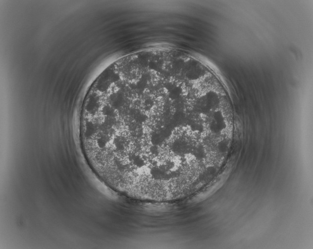 X0000112530859200909281037