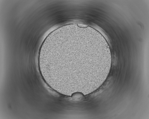 X0000112530861200909281037