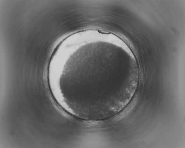 X0000112530862200909281037