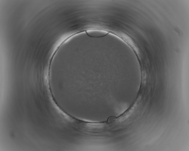 X0000112530863200909281037