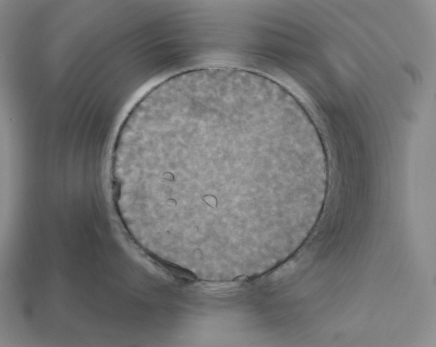 X0000112530864200909281037