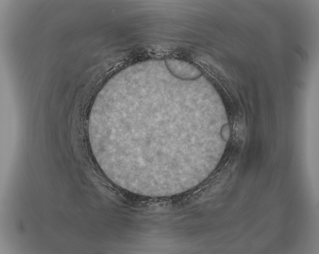 X0000112530865200909281036