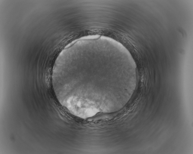 X0000112530868200909281036