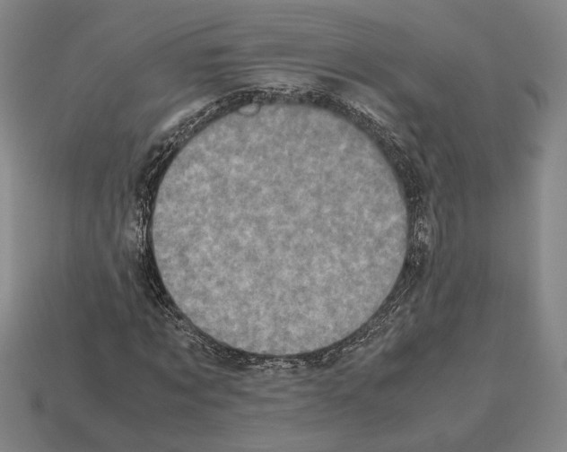 X0000112530869200909281036