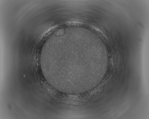 X0000112530870200909281036