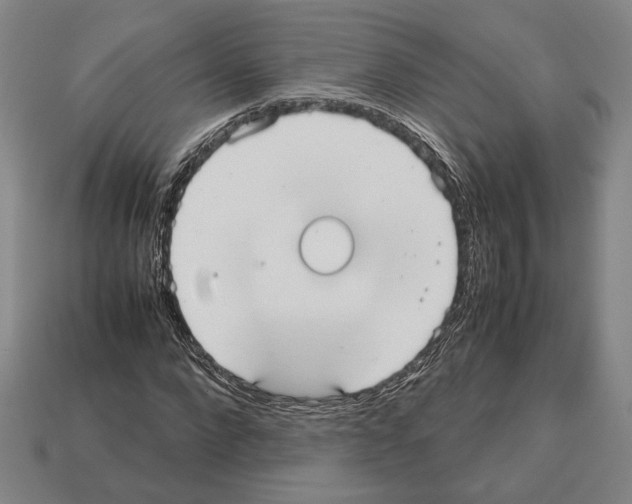 X0000112530872200909281036