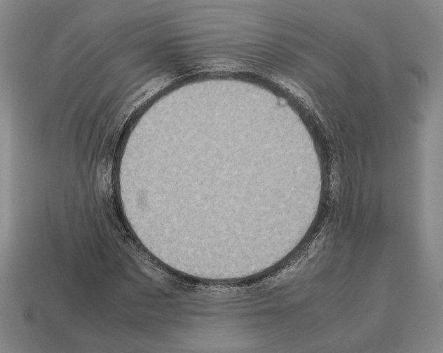 X0000112530873200909281036