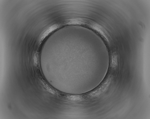 X0000112530874200909281036