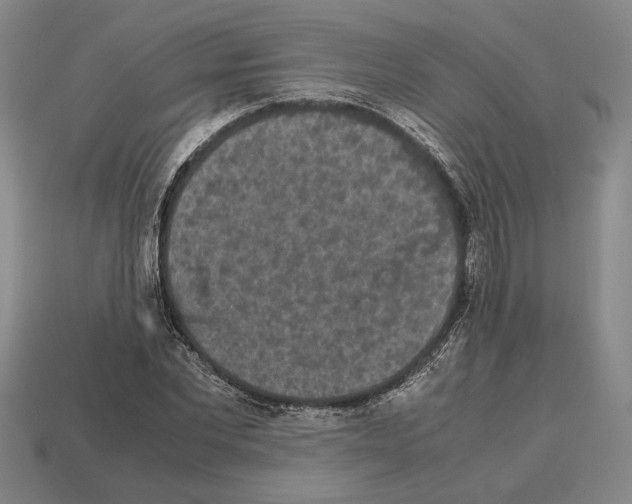 X0000112530877200909281036