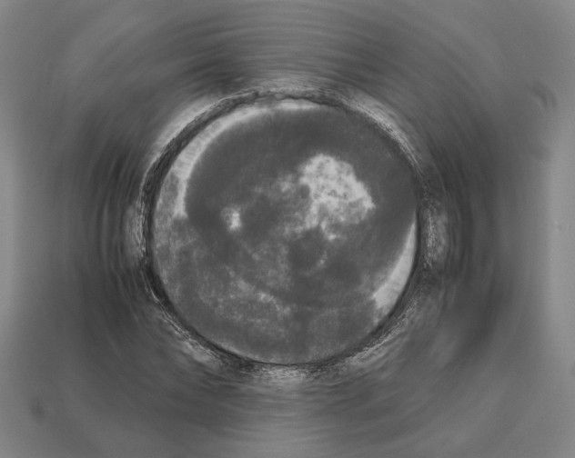 X0000112530878200909281036