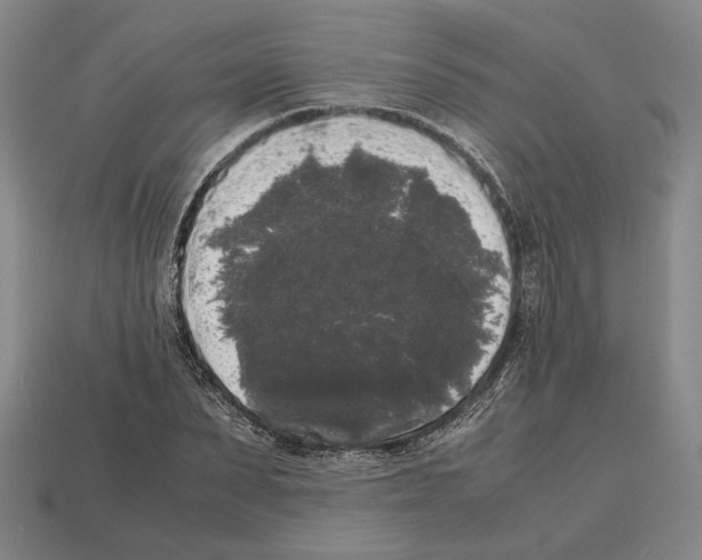 X0000112530879200909281036