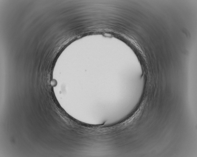 X0000112530881200909281036