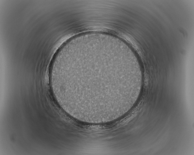 X0000112530883200909281036