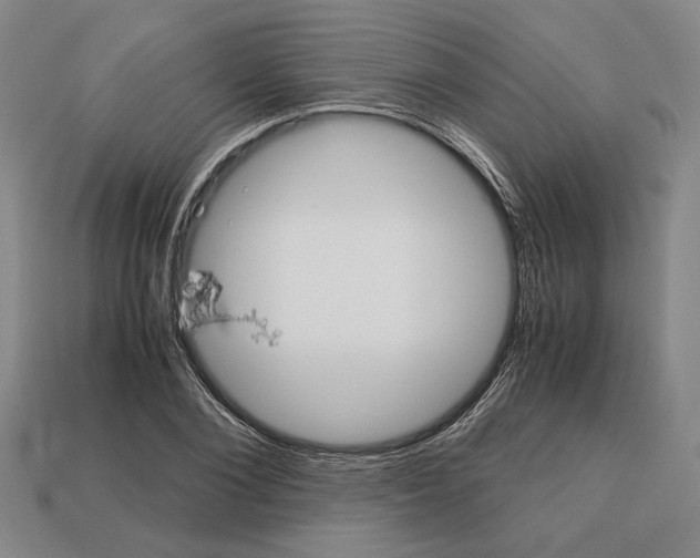 X0000112530884200909281036