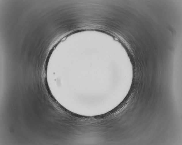 X0000112530885200909281036