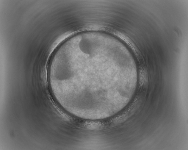 X0000112530886200909281036