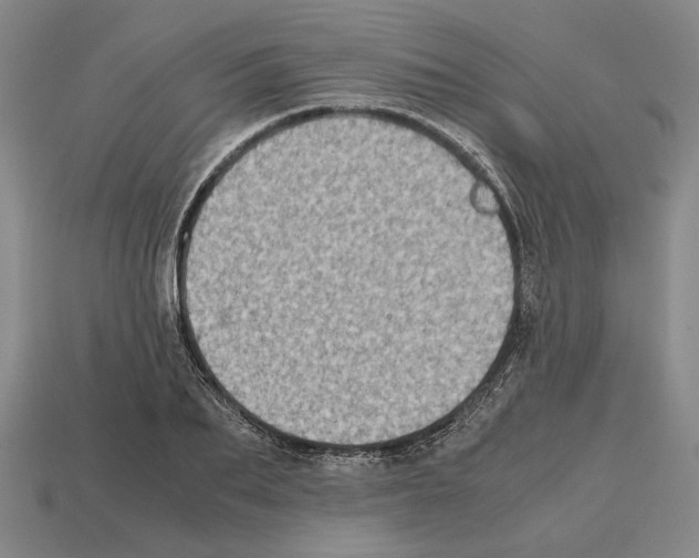 X0000112530887200909281036