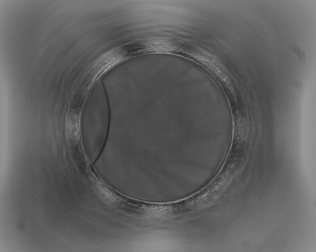 X0000112530889200909281036