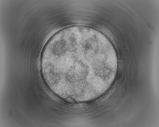 X0000112530891200909281036