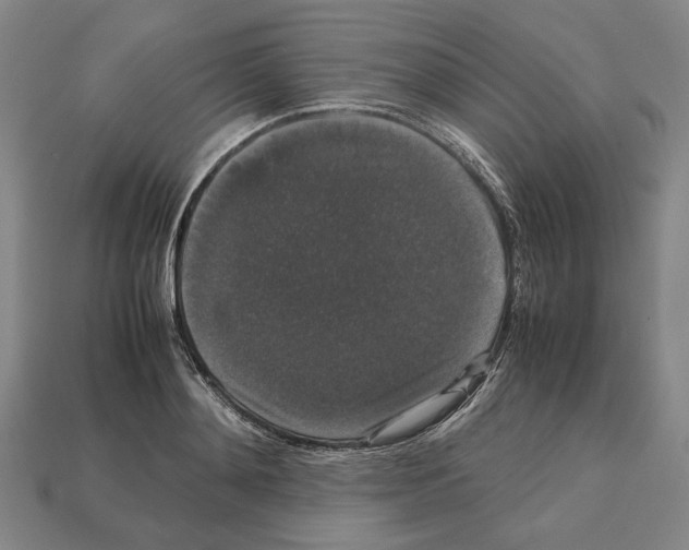 X0000112530892200909281035