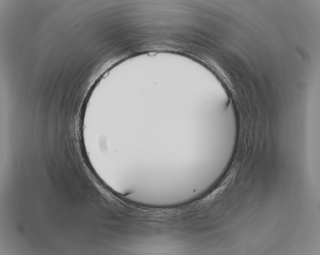 X0000112530893200909281035