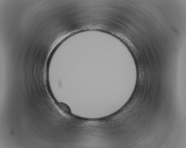 X0000112530894200909281035