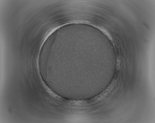 X0000112530895200909281035