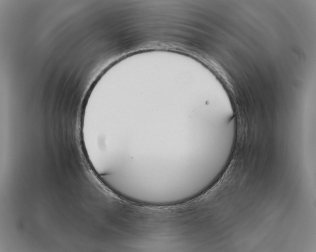 X0000112530896200909281035