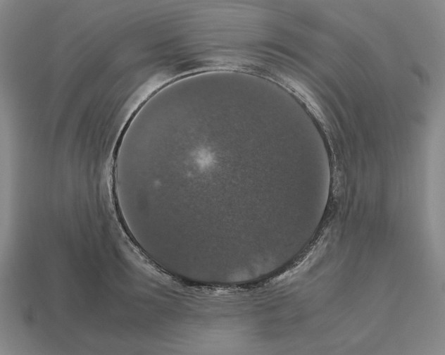 X0000112530899200909281035