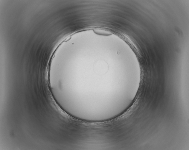 X0000112530900200909281035