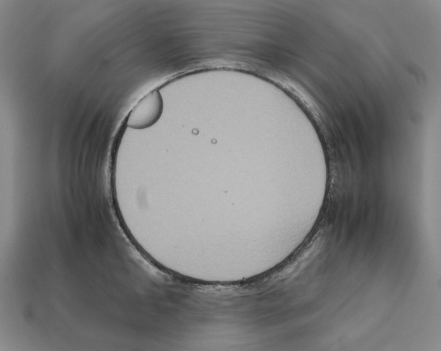 X0000112530902200909281035