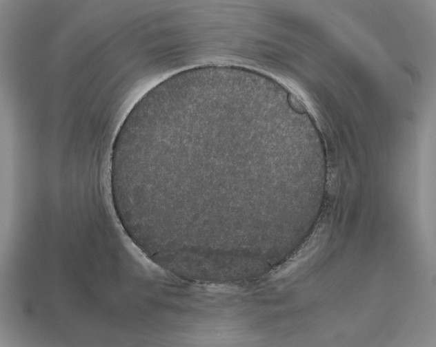 X0000112530903200909281035