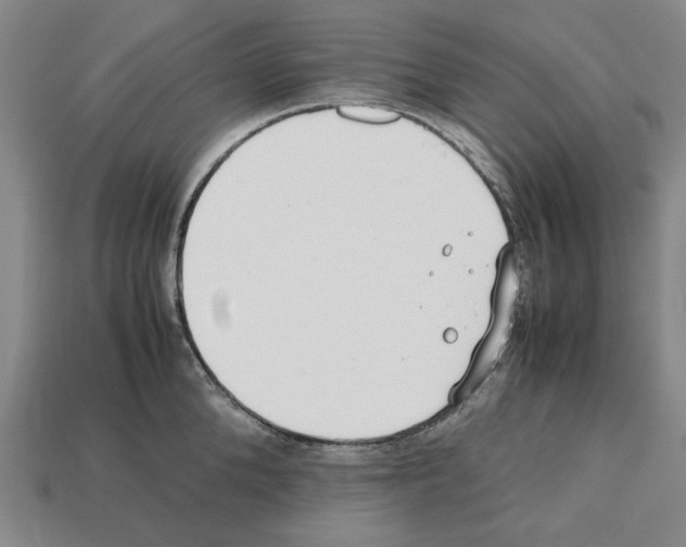 X0000112530904200909281035