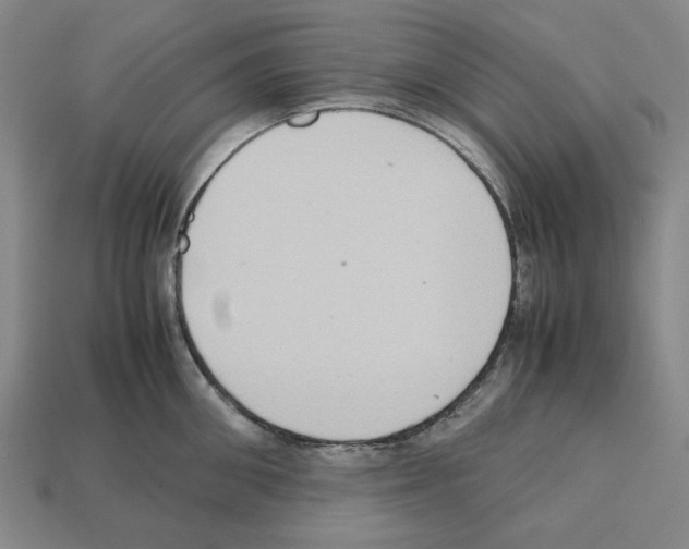 X0000112530906200909281035