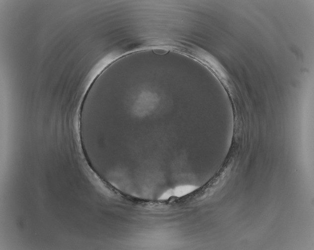 X0000112530907200909281035