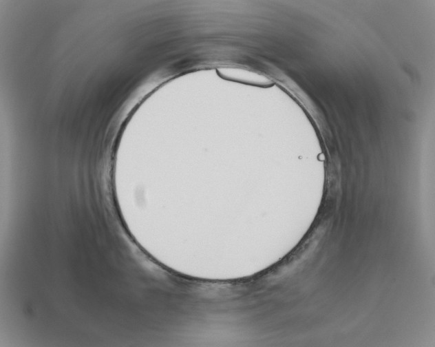 X0000112530909200909281035