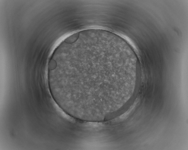 X0000112530910200909281035