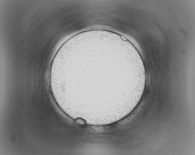 X0000112530911200909281035