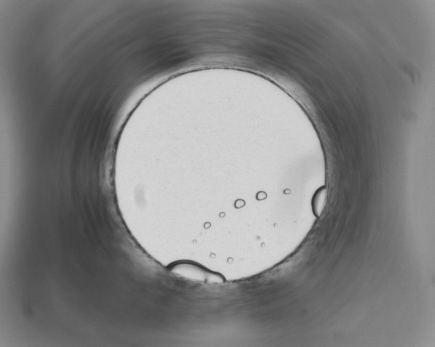 X0000112530912200909281035