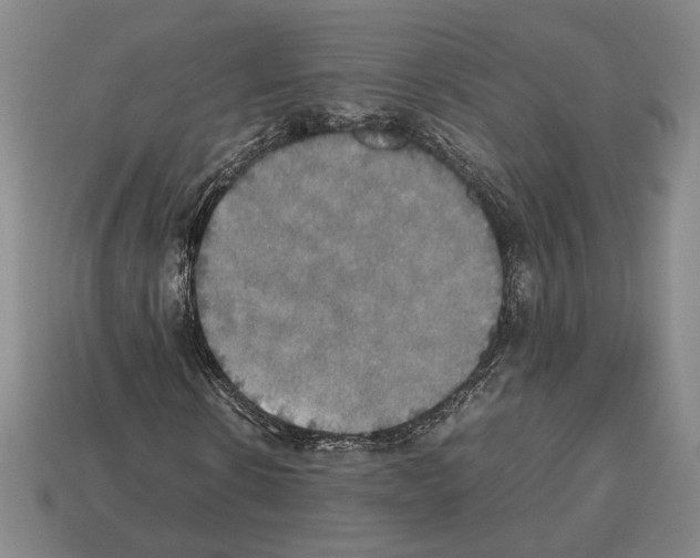 X0000112530914200909281034