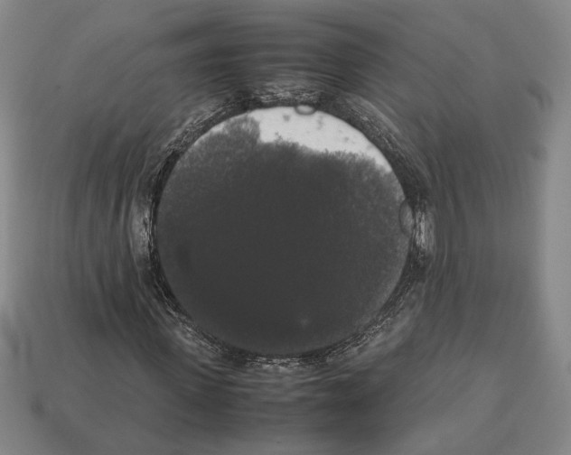 X0000112530915200909281034