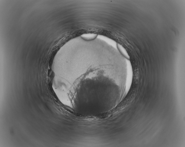 X0000112530916200909281034